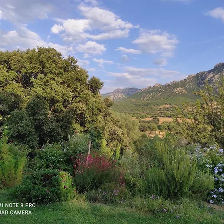 Agriturismo Asara Padru Exterior foto