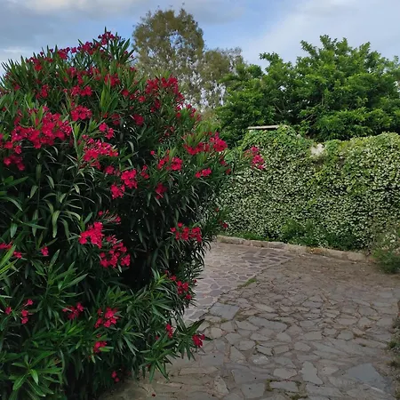 Agriturismo Asara Padru Exterior foto