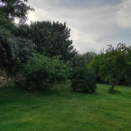 Agriturismo Asara Padru Exterior foto