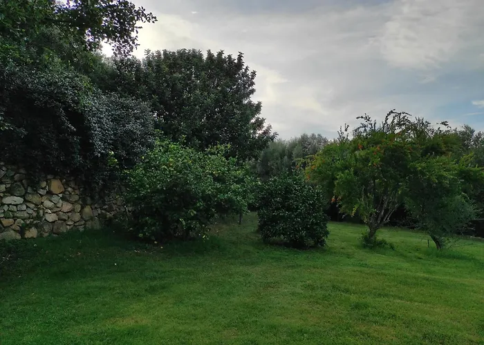 Agriturismo Asara