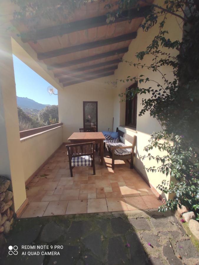 Asara Apartment *