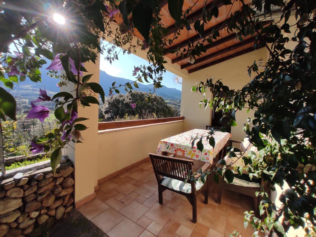 Asara Apartment Padru